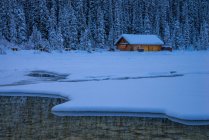 Cabina innevata presso Lake Louise, Banff National Park, Alberta, Canada — Foto stock