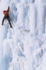 Homme grimpeur de glace montant un champignon malin, rivière Ghost, Alberta, Canada — Photo de stock