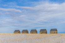 Fila de graneros en invierno, Condado de Kneehill, Alberta, Canadá - foto de stock