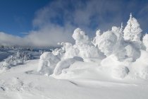 Snow ghosts at Sun Peaks Ski Resort in dramatic winter scenery near Kamloops, British Columbia Canada — Stock Photo