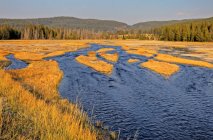 Ruisseau enchevêtré et herbe automnale à Firehole Lake Drive, parc national Yellowstone, Wyoming, États-Unis — Photo de stock