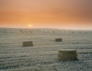 Fardos de feno quadrados ao nascer do sol perto de Leduc, Alberta, Canadá — Fotografia de Stock