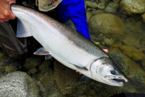 Man holding coho salmon, close-up — Stock Photo