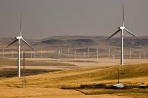 Энергогенерирующие ветряные мельницы возле Пинчер-Крик, Альберта, Канада . — стоковое фото