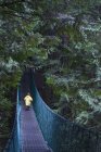 Підвісний міст і заднього виду дитини на Хуан де Фуа Trail біля китайського пляжу, Вікторія, Британська Колумбія, Канада — стокове фото
