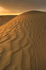 Padrão ondulado natural de dunas de areia em Great Sandhills perto de Sceptre, Saskatchewan, Canadá . — Fotografia de Stock