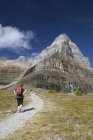 Rear view of female hiker, Larch Valley Trail, Pfacle Mountain, Banff National Park, Alberta, Canada — стоковое фото