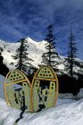 Jay gris sentado en raquetas de nieve en Zopkios Ridge, cumbre del Coquihalla, Columbia Británica, Canadá - foto de stock