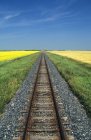 Ferrocarril a través de pradera cerca de Carey, Manitoba, Canadá . - foto de stock
