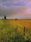 Rural fence and hayfield near Cremona, Alberta, Canada. — Stock Photo