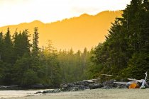 Adventure camping tent on beach at sunset on Flores Island north of Tofino, Canada — Stock Photo