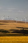 Moinhos de vento geradores de energia perto de Pincher Creek, Alberta, Canadá
. — Fotografia de Stock