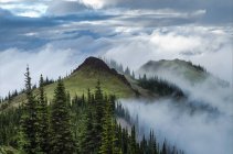 Wolkenverstreuter Bergrücken des Wildparks, des olympischen Nationalparks, Washington, USA — Stockfoto