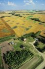 Escena rural aérea de tierras de cultivo de saskatchewan, Canadá . - foto de stock