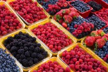 Fresh berries on display at market, full frame. — Stock Photo