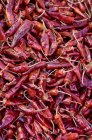 Dried chilies at market, close-up — Stock Photo