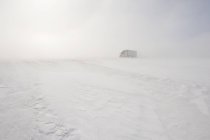 Truck riding on road covered with blowing snow near Morris, Manitoba, Canada — Stock Photo