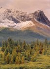 Adlernestpass und Wälder der Wildnis von Willmore, Alberta, Kanada — Stockfoto