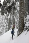Gente haciendo raquetas de nieve en montañas cubiertas de niebla en el Parque Provincial Mount Seymour, Vancouver, Columbia Británica, Canadá - foto de stock