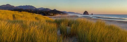 Grassy shore y Haystack Rock en Cannon Beach, Oregon, EE.UU. - foto de stock