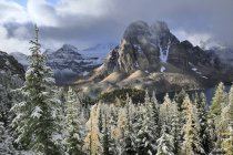 Sunburst Peak en Mount Assiniboine Provincial Park, Columbia Británica, Canadá - foto de stock