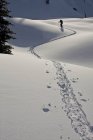 Sciatore maschile che segue la pista della pelle al Sol Mountain Lodge, Monashees, British Columbia, Canada — Foto stock