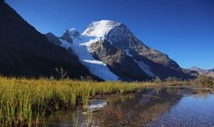 Erba in riva al lago con Mount Robson, Columbia Britannica, Canada — Foto stock