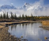 North Saskatchewan river with Mount Peskett, Kootenay Plains, Bighorn Wildland, Alberta, Canadá — Fotografia de Stock