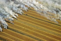 Vista aérea de cultivos residuales quemados en Manitoba, Canadá . - foto de stock