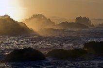 Salida del sol desde Wild Pacific Trail durante la marea alta cerca de Ucluelet, Isla Vancouver, Columbia Británica, Canadá - foto de stock