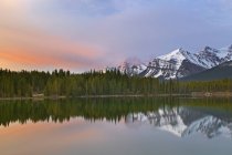 Herbertsee, der sich in waldbäumen und bogenbergen spiegelt, banff nationalpark, alberta, canada — Stockfoto