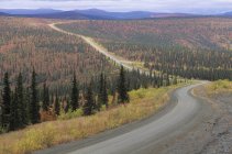 Follaje otoñal de bosque a lo largo de la carretera en el Territorio del Yukón, Canadá . - foto de stock