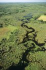 Aerial view of wetland in Sprucewood provincial park, Manitoba, Canada. — Stock Photo