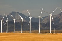 Ветряные мельницы на лугу Пинчер-Крик, Альберта, Канада . — стоковое фото