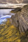 Blue Rocks and grassy shore in Nova Scotia, Canada. — Stock Photo