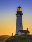 Yaquina Head lighthouse on flowery coast at sunset in Oregon, USA — Stock Photo
