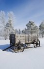 Old wagon in woodland of hoarfrost covered trees near Oakbank, Manitoba, Canada — Stock Photo