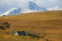 Farmstead with mountains of Waterton Lakes National Park outside of Pincher Creek, Alberta, Canada — Stock Photo