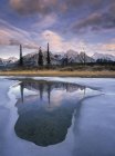 Río Saskatchewan Norte Congelado y llanura de Kootenay, Alberta, Canadá - foto de stock