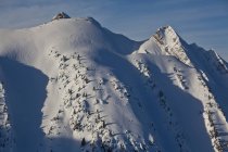 Mountain of Kicking Horse Resort and backcountry snowboarder riding riep line, Golden, British Columbia, Canada — Foto stock