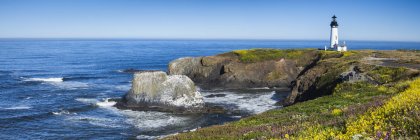 Yaquina Head faro sul prato fiorito in Oregon, Stati Uniti — Foto stock