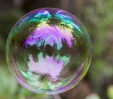 Soap bubble with forest trees reflection — Stock Photo