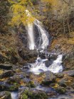 Водопад Третий водопад в Национальном парке Фанди, Нью-Брансуик, Канада — стоковое фото