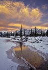 Frozen North Saskatchewan river and Kootenay Plain, Alberta, Canada — Stock Photo
