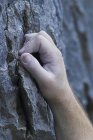 Rock escalada mão detalhe, close-up — Fotografia de Stock