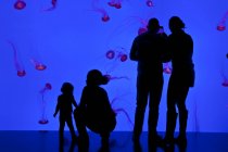 Visitantes viendo medusas en Planet Jellies Gallery en Riplys Aqarium de Canadá en la base de CN Tower, Toronto, Canadá - foto de stock