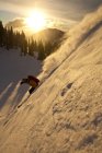 Hombre backcountry skier riding at sunrise, Sol Mountain, Monashee Backcountry, Revelstoke, Canadá - foto de stock