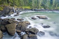 Creek a lo largo de Juan De Fuca Trail en Sombrio Beach, Vancouver Island, Columbia Británica, Canadá . - foto de stock