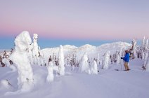 A skier among snow ghosts surveys the beautiful landscape before sunrise at the top of Sun Peaks Resort, Thompson Okangan region, British Columbia, Canada — Stock Photo