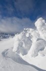 Snow covered trees at Sun Peaks Ski Resort near Kamloops, British Columbia Canada — Stock Photo